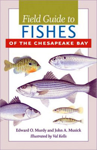 Book - Field Guide to Fishes of the Chesapeake Bay