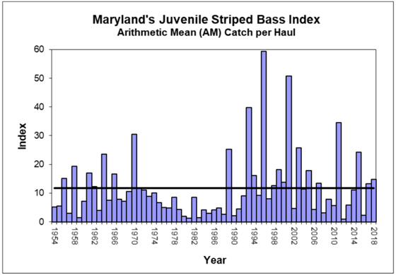 Striped Bass Young of Year Index Chart