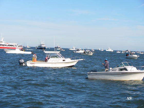 Surf Fishing for 
 striped Bass with Boats