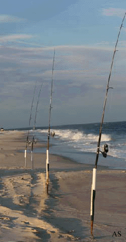 Surf Fishing With Bait