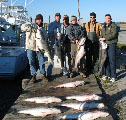 Oregon Inlet Stripers