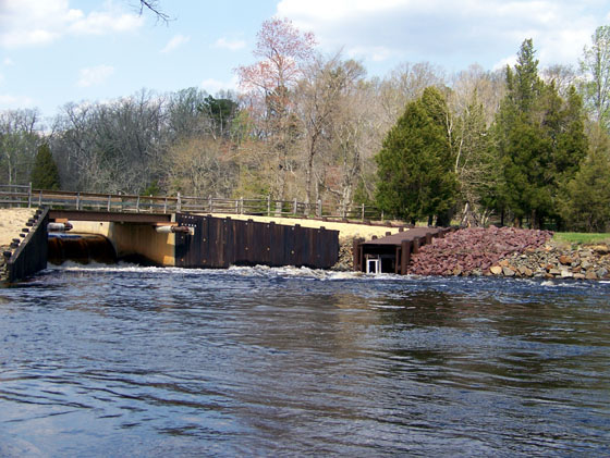 Fish Ladder at Batsto NJ 