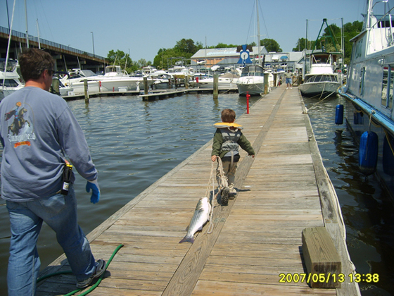 Young Fisherman 
