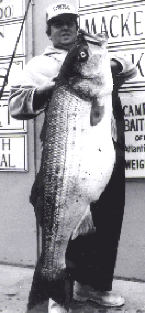 Al McReynolds and His World Record Striped Bass 
