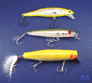 SPRO, Rebel, and Danny Saltwater Fishing Lures