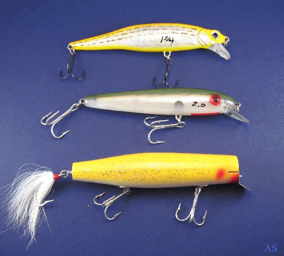 SPRO, Rebel, and Danny Saltwater Fishing Lures 