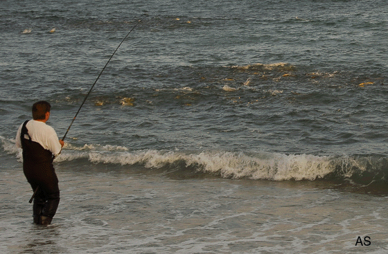 Striper Blitz at Montauk 