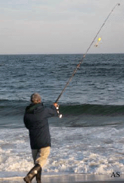 Surf Fishing With Lures