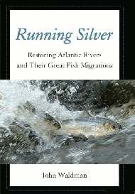 Book - Running Silver