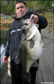 Huge Laregmouth Bass