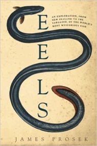 Book - Eels
