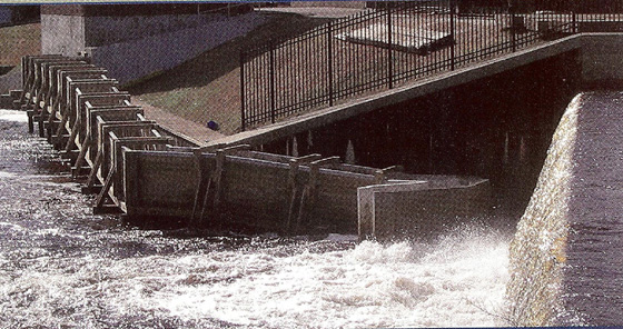 Fish Ladder at Lenape Lake, NJ 