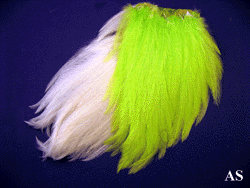 Hackle Feathers