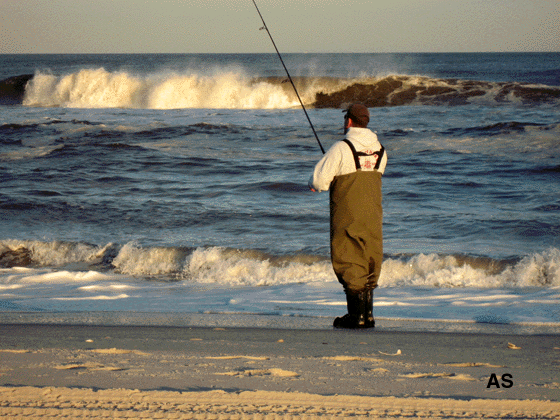 Fisherman Throwing Lures at IBSP