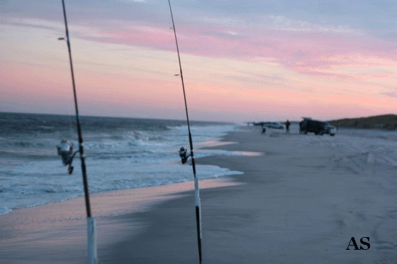 Surf fishing with a spiked rod 