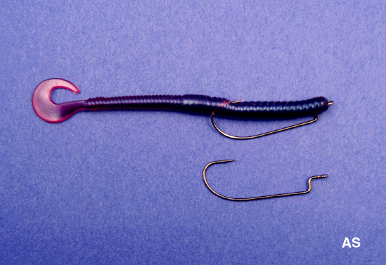 Texas Rigged Rubber Worm  