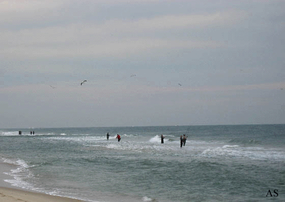 Surf Fishermen at Mantoloking, NJ 