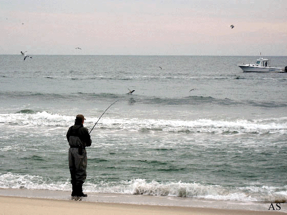 Surf Fisherman at Mantoloking, NJ 