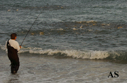 Striper Blitz at Montauk