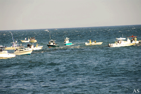 Boats Fishing For Striped Bass at Montauk 