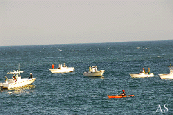 Kayak Fishing a Blitz at Montauk