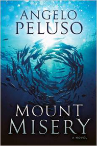 Book - Mount Misery