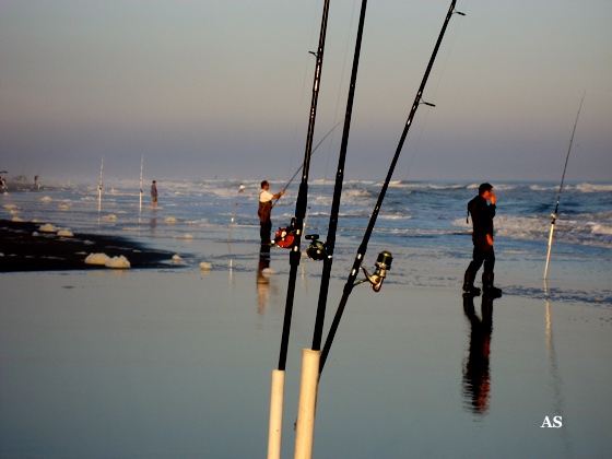 Striper Fishing