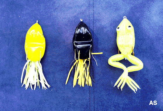 Scum Frog Lures for largemouth bass fishing 