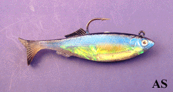 Storm WildEye Live Herring Striped Bass Lure