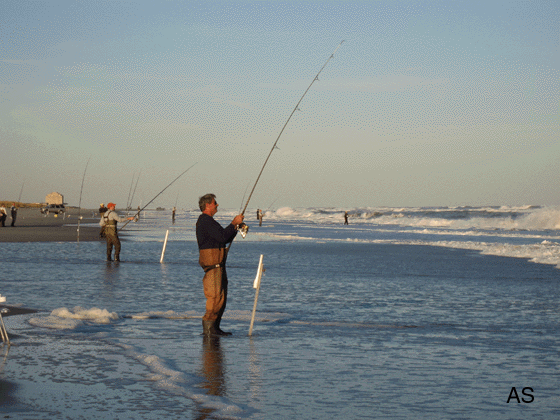 Surf fishing while standing 