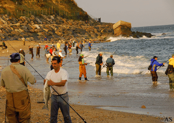 Surf Fishermen at Montauk,s Turtle Cove 